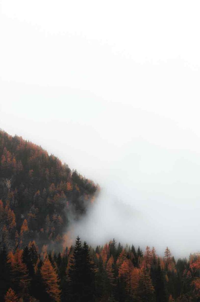 Mlha podzim